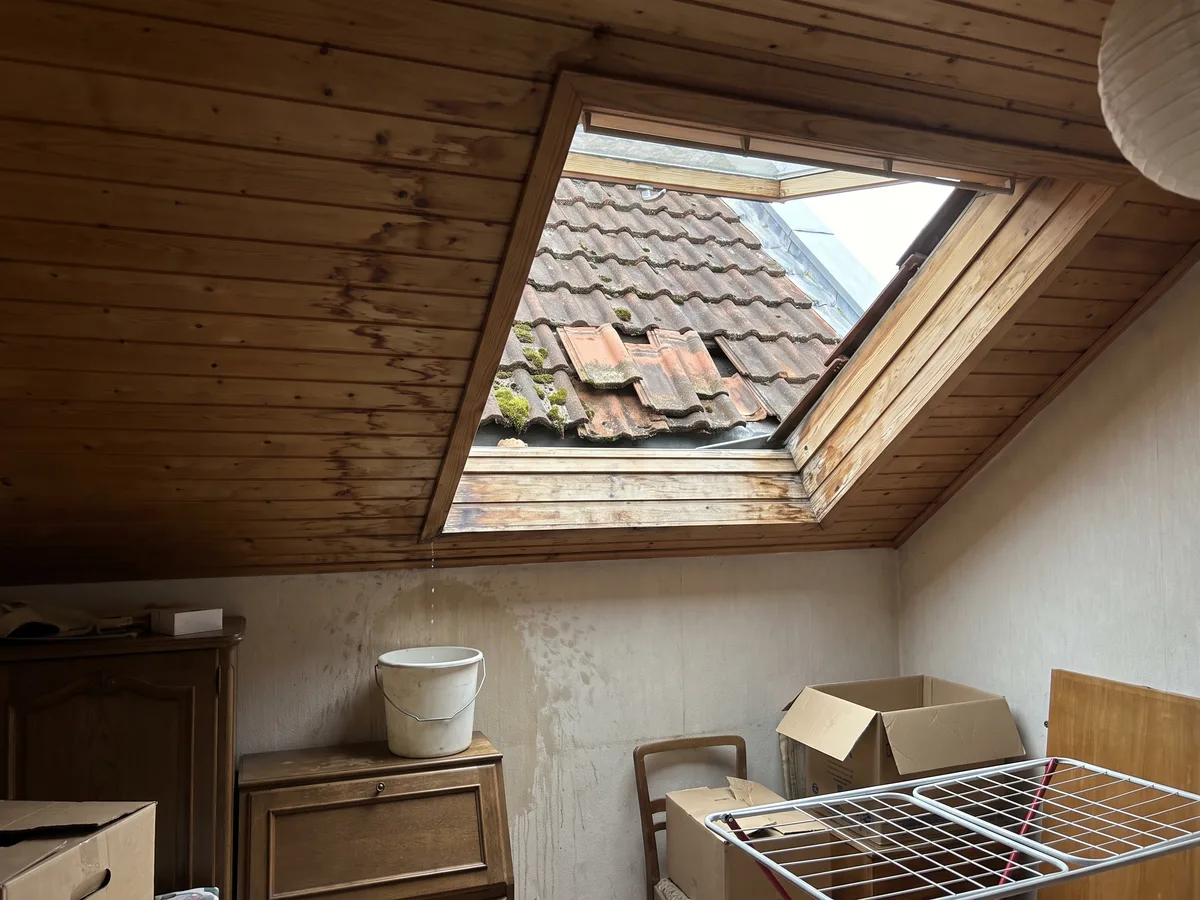 Dachreinigung von Steinstar in Berlin